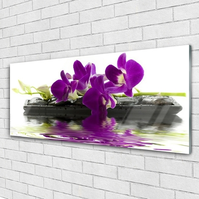 Glas billede Blomster Planter Natur