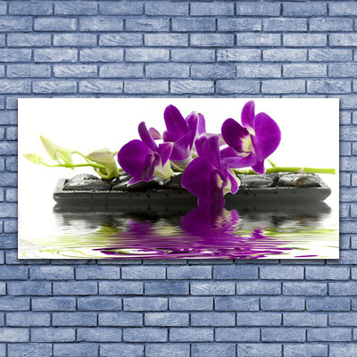 Glas billede Blomster Planter Natur