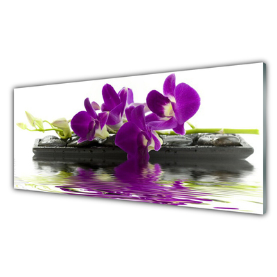 Glas billede Blomster Planter Natur