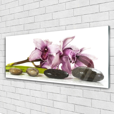 Billede i glas Flower Stones Plant