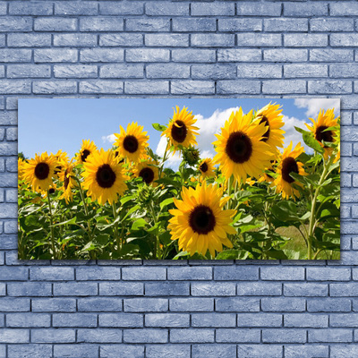 Glas billede Solsikke Blomst Plante