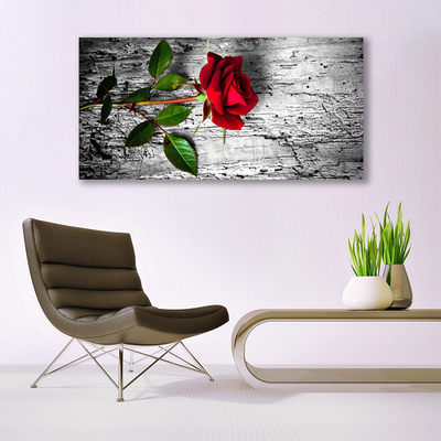 Billede glas Rose Flower Plant Nature