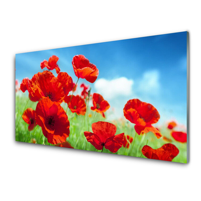 Glas billede Poppies Plant Nature