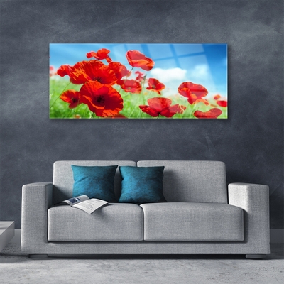 Glas billede Poppies Plant Nature