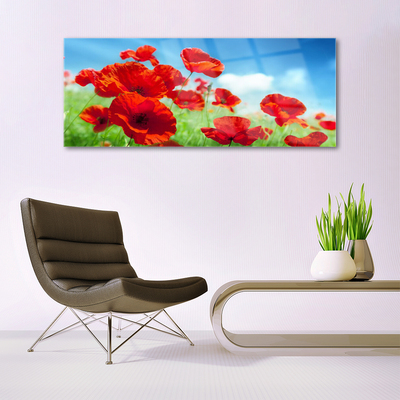 Glas billede Poppies Plant Nature