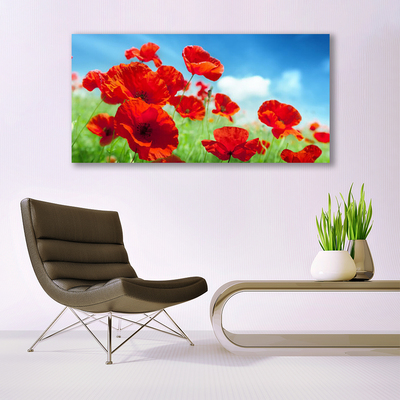 Glas billede Poppies Plant Nature