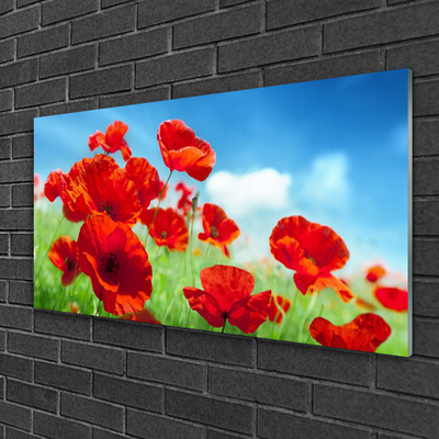 Glas billede Poppies Plant Nature