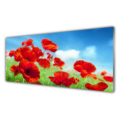 Glas billede Poppies Plant Nature