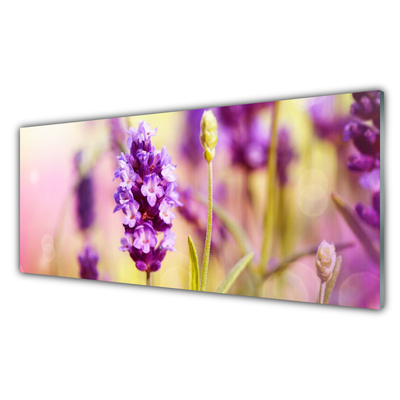 Glasfoto Blomster Plante Natur