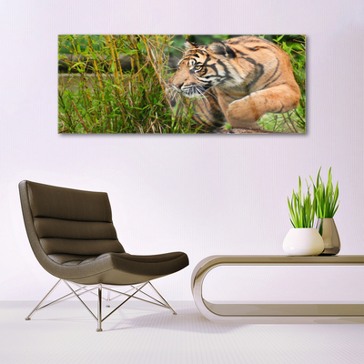 Billede i glas Tiger Animal