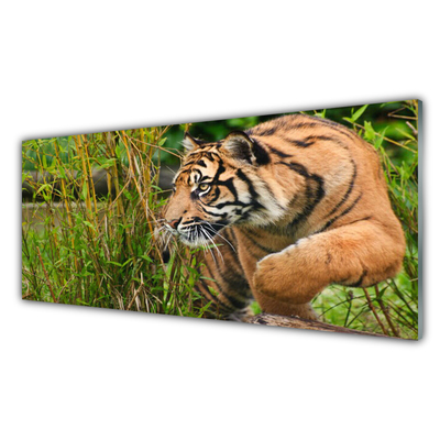 Billede i glas Tiger Animal