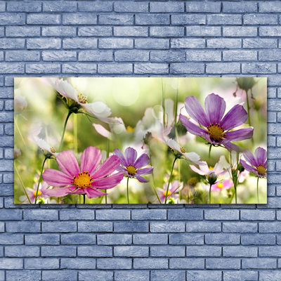 Billede på glas Blomster Plante Natur