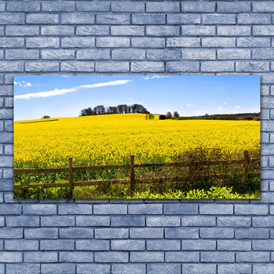 Glasfoto Field Plant Landscape