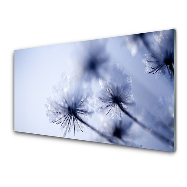 Glas billede Dandelion Plant