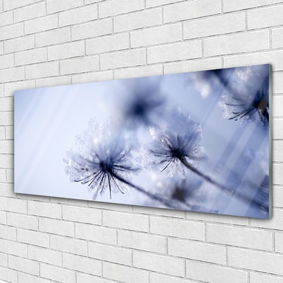 Glas billede Dandelion Plant