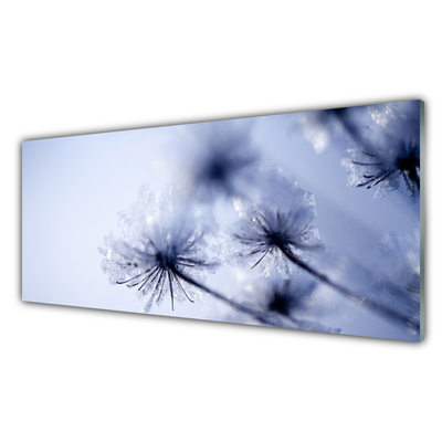 Glas billede Dandelion Plant