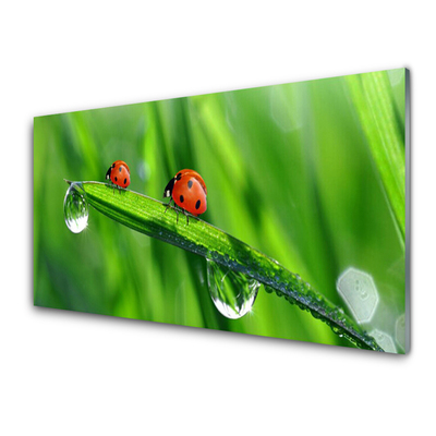 Billede glas Ladybird Grass Drops