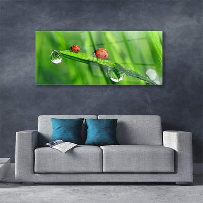 Billede glas Ladybird Grass Drops