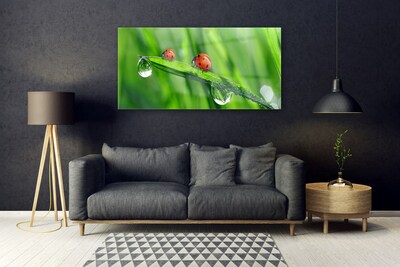 Billede glas Ladybird Grass Drops