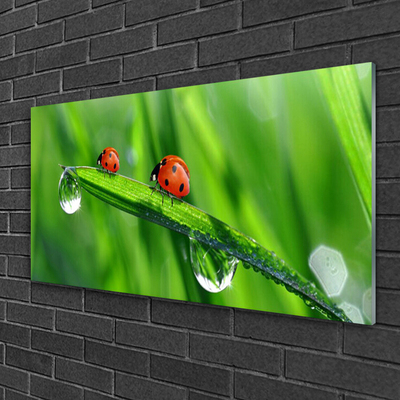 Billede glas Ladybird Grass Drops