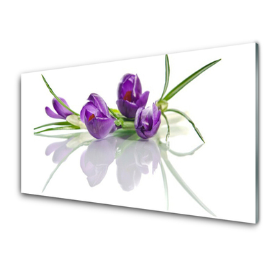 Billede glas Blomster Plante Natur