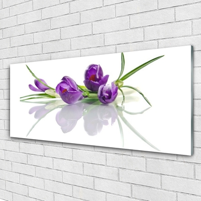 Billede glas Blomster Plante Natur