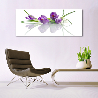 Billede glas Blomster Plante Natur