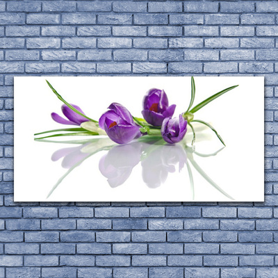 Billede glas Blomster Plante Natur