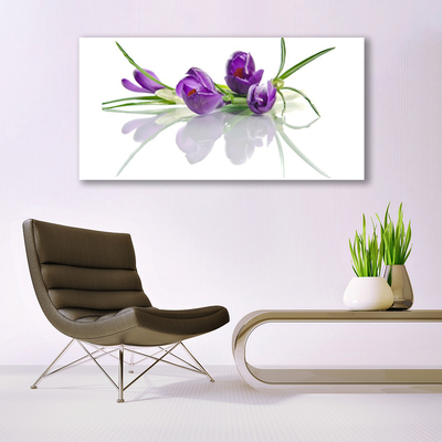 Billede glas Blomster Plante Natur