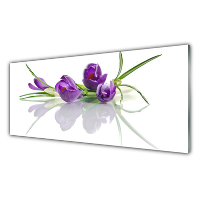 Billede glas Blomster Plante Natur