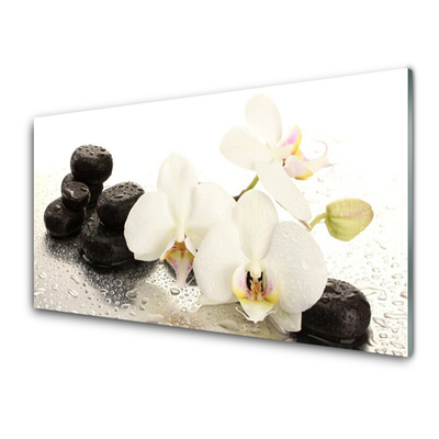 Billede glas Flower Stones Plant