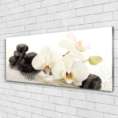 Billede glas Flower Stones Plant