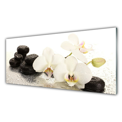 Billede glas Flower Stones Plant