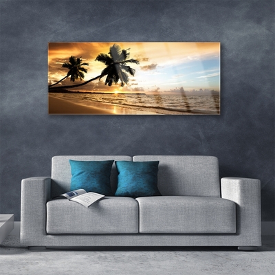 Glasfoto Palm Trees Beach Landscape