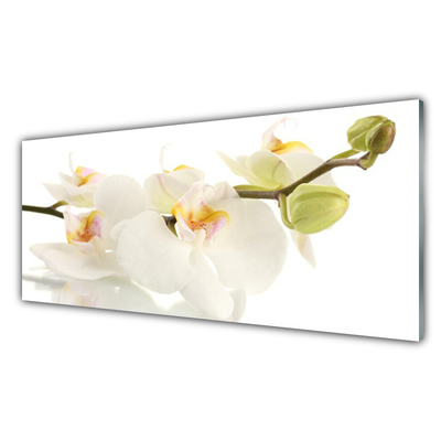 Glas billede Blomster Planter Natur