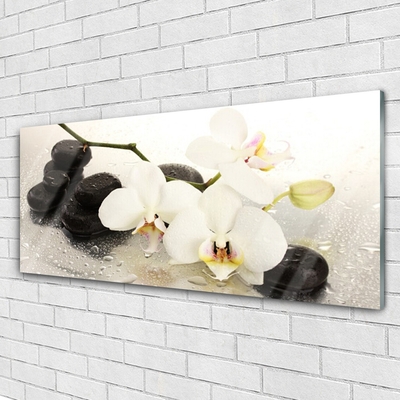 Billede i glas Flower Beautiful Orchid