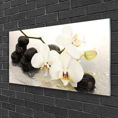 Billede i glas Flower Beautiful Orchid