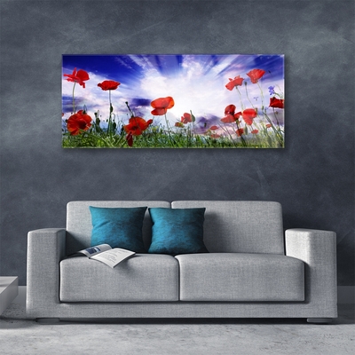 Glasbillede Poppies Plant Nature