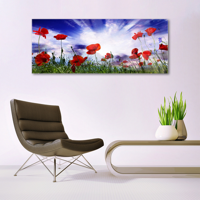 Glasbillede Poppies Plant Nature