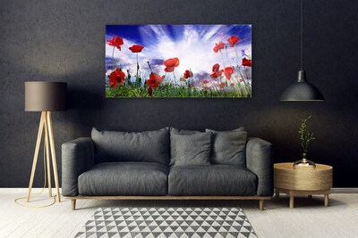 Glasbillede Poppies Plant Nature