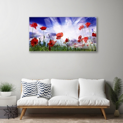 Glasbillede Poppies Plant Nature