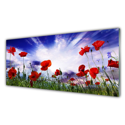 Glasbillede Poppies Plant Nature