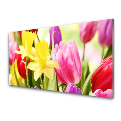 Glasfoto Blomster Plante Natur