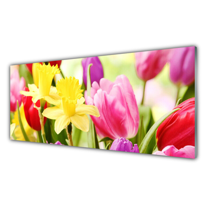 Glasfoto Blomster Plante Natur