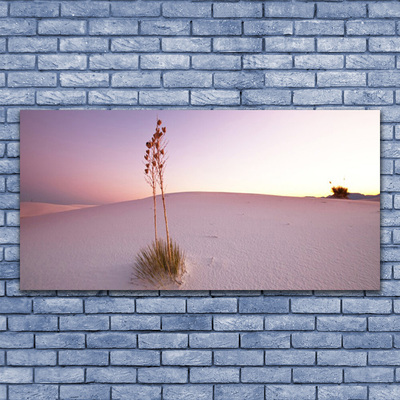 Glas billede Ørken Sand Landskab