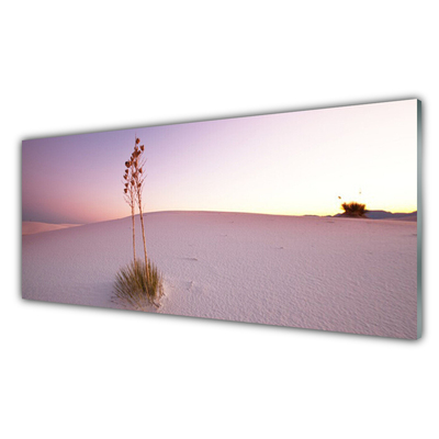 Glas billede Ørken Sand Landskab