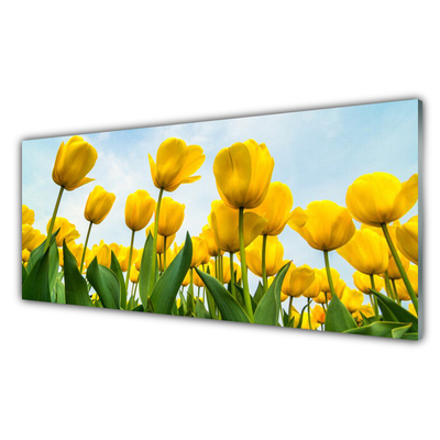 Billede i glas Tulipaner Blomster Plante