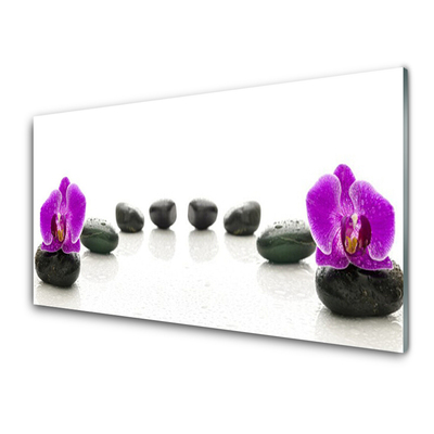 Glasbillede Flower Orchids Pebbles