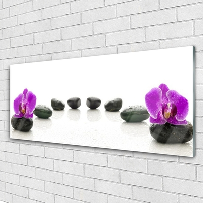 Glasbillede Flower Orchids Pebbles