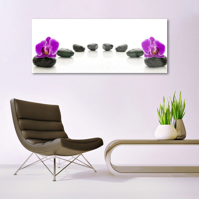 Glasbillede Flower Orchids Pebbles